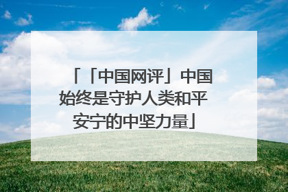 「中国网评」中国始终是守护人类和平安宁的中坚力量
