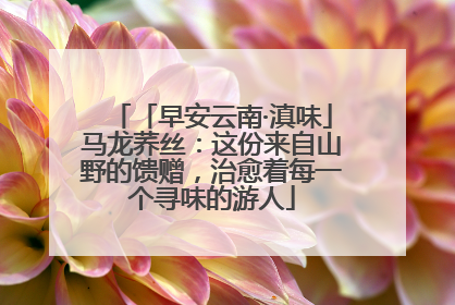 「早安云南·滇味」马龙荞丝：这份来自山野的馈赠，治愈着每一个寻味的游人