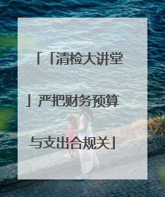 「清检大讲堂」严把财务预算与支出合规关