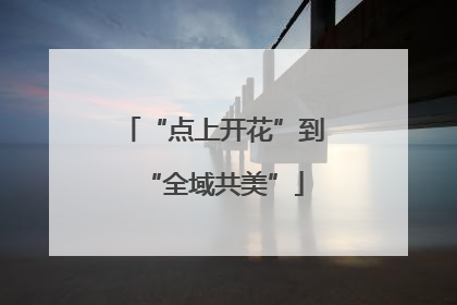 “点上开花”到“全域共美”