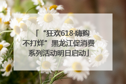 “狂欢618·嗨购不打烊”黑龙江促消费系列活动明日启动