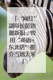 “网红”副局长彭勃履新职，曾用“英语+东北话”推介当地大米