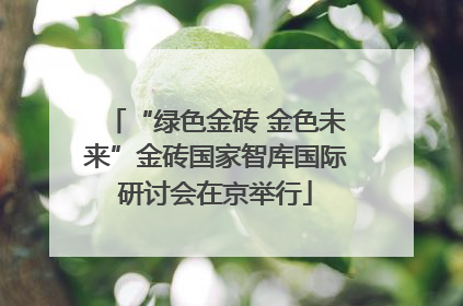 “绿色金砖 金色未来”金砖国家智库国际研讨会在京举行