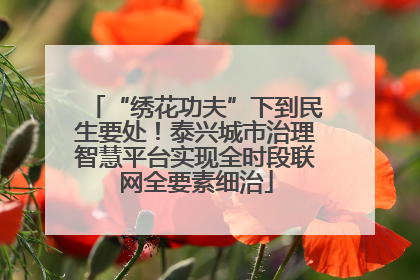 “绣花功夫”下到民生要处！泰兴城市治理智慧平台实现全时段联网全要素细治