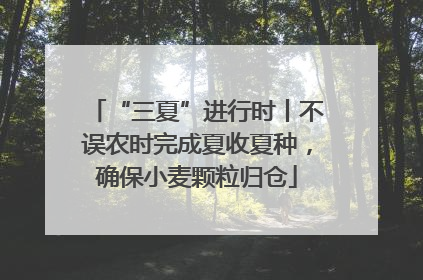 “三夏”进行时丨不误农时完成夏收夏种，确保小麦颗粒归仓