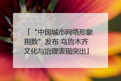“中国城市网络形象指数”发布 乌鲁木齐文化与治理表现突出