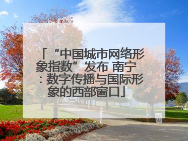 “中国城市网络形象指数”发布 南宁：数字传播与国际形象的西部窗口