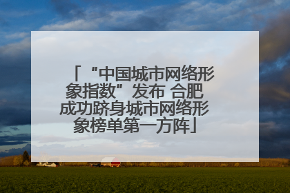 “中国城市网络形象指数”发布 合肥成功跻身城市网络形象榜单第一方阵