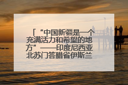 “中国新疆是一个充满活力和希望的地方”——印度尼西亚北苏门答腊省伊斯兰教代表团参访新疆