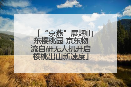 “京燕”展翅山东樱桃园 京东物流自研无人机开启樱桃出山新速度