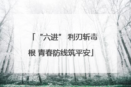 “六进” 利刃斩毒根 青春防线筑平安