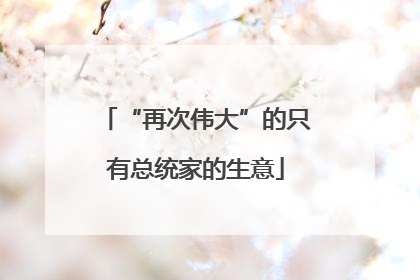 “再次伟大”的只有总统家的生意