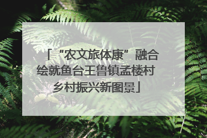 “农文旅体康”融合绘就鱼台王鲁镇孟楼村乡村振兴新图景