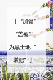 “加餐”“盖被” 为黑土地“增肥”
