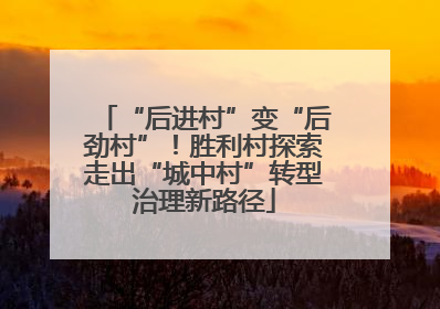 “后进村”变“后劲村”！胜利村探索走出“城中村”转型治理新路径