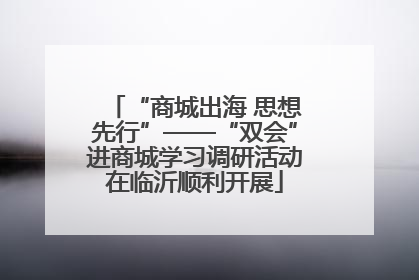 “商城出海 思想先行”——“双会”进商城学习调研活动在临沂顺利开展