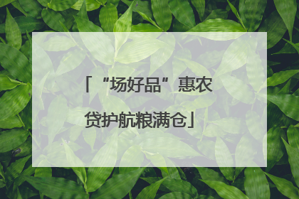 “场好品”惠农贷护航粮满仓