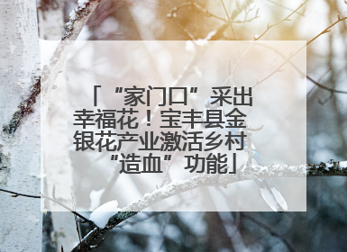 “家门口”采出幸福花！宝丰县金银花产业激活乡村“造血”功能