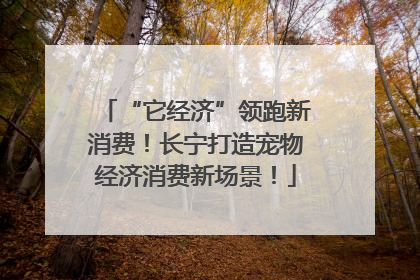 “它经济”领跑新消费！长宁打造宠物经济消费新场景！