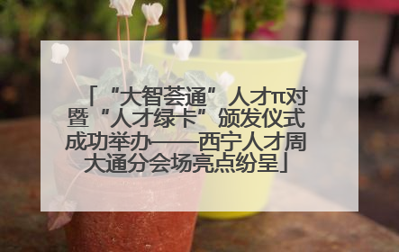 “大智荟通”人才π对暨“人才绿卡”颁发仪式成功举办——西宁人才周大通分会场亮点纷呈