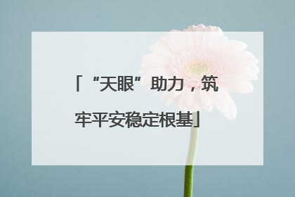 “天眼”助力，筑牢平安稳定根基