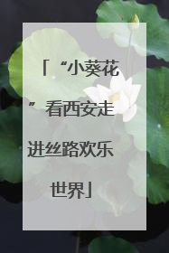 “小葵花”看西安走进丝路欢乐世界