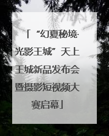 “幻夏秘境·光影王城”天上王城新品发布会暨摄影短视频大赛启幕