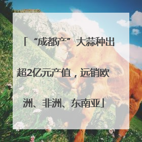 “成都产”大蒜种出超2亿元产值，远销欧洲、非洲、东南亚