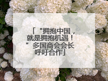 “拥抱中国，就是拥抱机遇！”多国商会会长呼吁合作