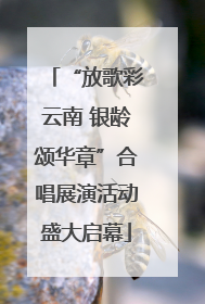 “放歌彩云南 银龄颂华章”合唱展演活动盛大启幕