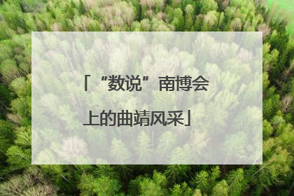 “数说”南博会上的曲靖风采