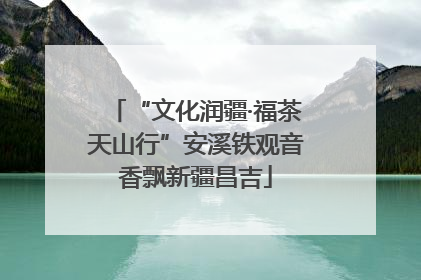 “文化润疆·福茶天山行”安溪铁观音香飘新疆昌吉