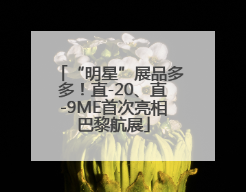 “明星”展品多多！直-20、直-9ME首次亮相巴黎航展