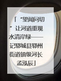 “望闻问切”让河道重现水清岸绿——记郓城县郓州街道镇级河长孟泓辰