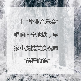 “毕业音乐会”唱响南宁地铁，皇家小虎携美食祝愿“前程似锦”