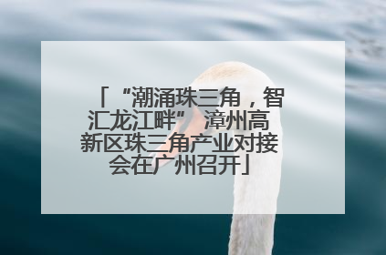 “潮涌珠三角，智汇龙江畔” 漳州高新区珠三角产业对接会在广州召开