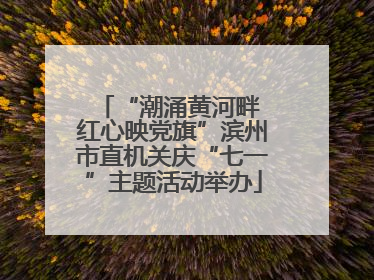 “潮涌黄河畔 红心映党旗”滨州市直机关庆“七一”主题活动举办