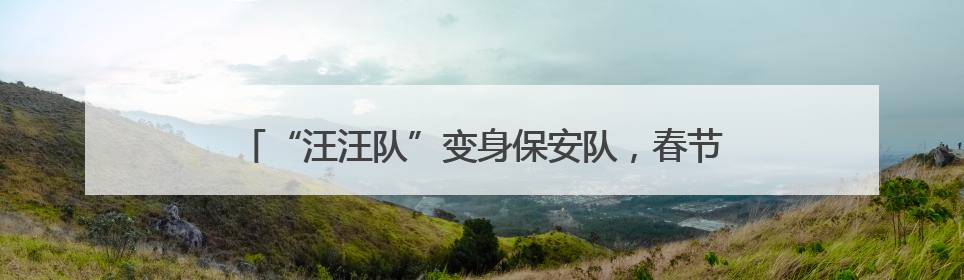 “汪汪队”变身保安队，春节警犬上岗守护群众“安全感”