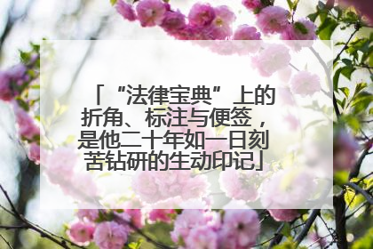 “法律宝典”上的折角、标注与便签，是他二十年如一日刻苦钻研的生动印记