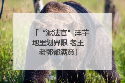“泥法官”洋芋地里划界限 老王老郭都满意