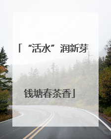 “活水”润新芽 钱塘春茶香