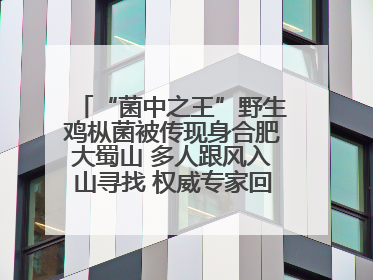 “菌中之王”野生鸡枞菌被传现身合肥大蜀山 多人跟风入山寻找 权威专家回应市民三问