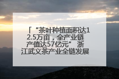 “茶叶种植面积达12.5万亩，全产业链产值达57亿元” 浙江武义茶产业全链发展“加速度”