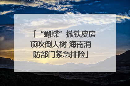 “蝴蝶”掀铁皮房顶吹倒大树 海南消防部门紧急排险