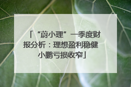 “蔚小理”一季度财报分析：理想盈利稳健 小鹏亏损收窄