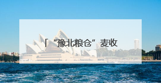 “豫北粮仓”麦收跑出“加速度”