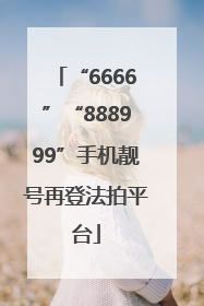 “6666”“888999”手机靓号再登法拍平台