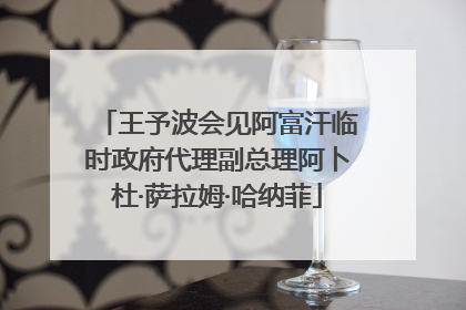 王予波会见阿富汗临时政府代理副总理阿卜杜·萨拉姆·哈纳菲