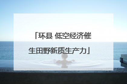 环县 低空经济催生田野新质生产力