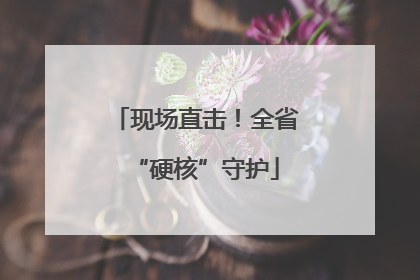 现场直击！全省“硬核”守护